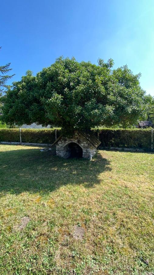 La Nebuleuse Villa Notre-Dame-de-l'Isle Exterior foto